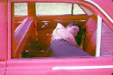 Dan Dorrough; asleep